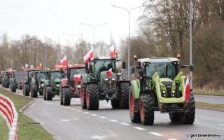 100 traktorów przejechało przez Gorzów. Rolnicy mówią, że import zboża z Ukrainy ich dobija