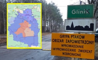 Dwa ogniska ptasiej grypy koło Gorzowa. Zakażonych kilkadziesiąt tysięcy indyków