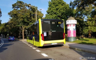 Komunikacyjny kocioł w Gorzowie. Autobusy MZK będą jeździć objazdami i stać w korkach