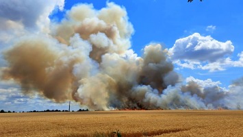 Potężny pożar ścierniska koło Gorzowa. Trwa akcja gaśnicza