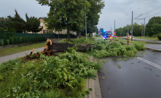 Uwaga mieszkańcy Gorzowa i okolic! IMGW ostrzega przed silnym wiatrem