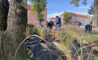 Zielona rewolucja w Gorzowie. Miasto chce stawiać na parki kieszonkowe i zielone przystanki