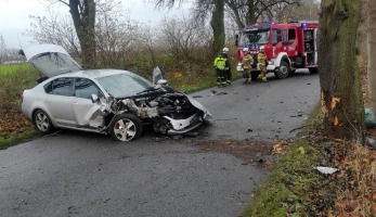 Kierująca roztrzaskała skodę o drzewo