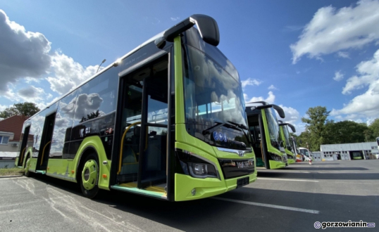 Policja na pętli autobusowej w Gorzowie. Kontrowersyjna kontrola kierowcy