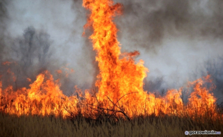 Gorzów: Pożar traw na terenie dawnego poligonu