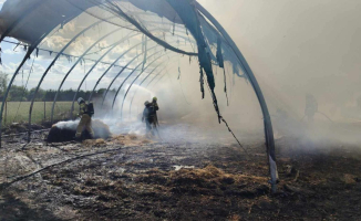 Pożar hali ze słomą. Konstrukcja spłonęła doszczętnie