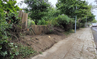 Została tylko dziura po krzewach. Mieszkaniec kontra Inneko 
