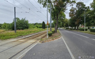 Rozbudowa ul. Walczaka zatrzymana przez lipy. 20 lat później wciąż nie ma planu