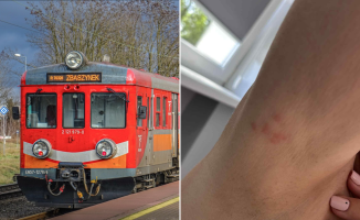 Pluskwy, brud i smród. Tak wygląda podróż między lubuskimi stolicami