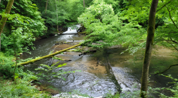 Kajak, wódka i 3 promile. 40-latek na spływie Drawą