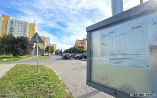 Ruszają testy minibusów na osiedlach w Gorzowie. Przejazdy będą darmowe