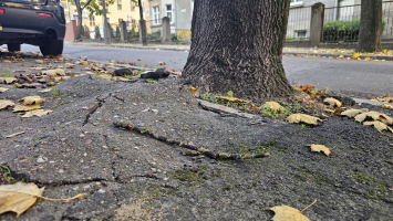 Stan zły, decyzja o remoncie konieczna, ale pieniędzy w budżecie brak