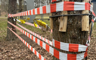 Nastolatka na hulajnodze wjechała w linę. Wypadek w parku linowym w Gorzowie
