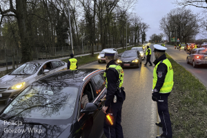 Nietrzeźwy kierowca wpadł podczas porannej akcji. Stracił prawo jazdy