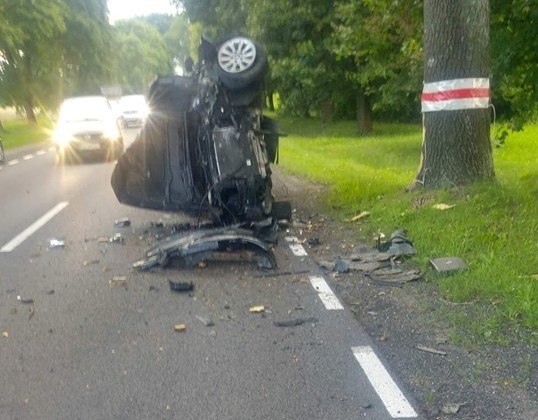 BMW roztrzaskało się o drzewo [zdjęcia]