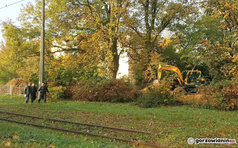 Przy Walczaka odnaleziono ludzkie kości
