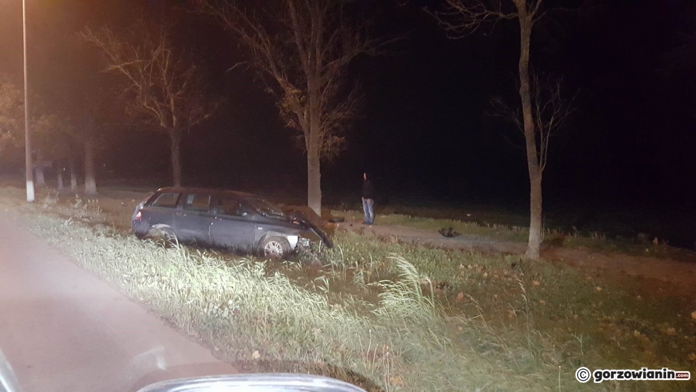 Kierująca fiatem rozbiła się na drzewie