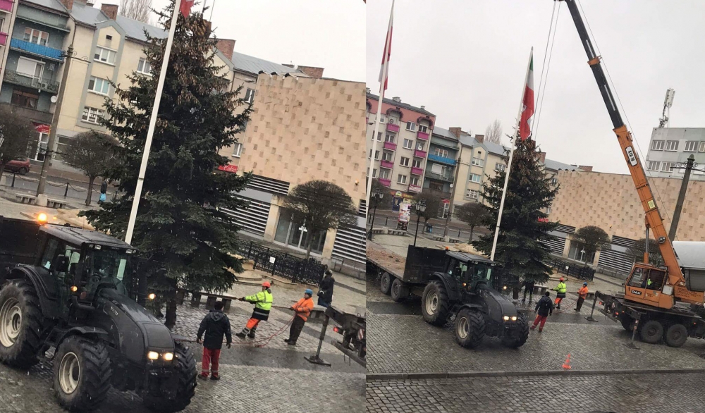 Na Starym Rynku pojawiła się choinka