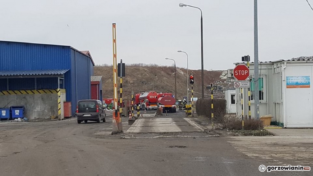 Pożar wysypiska śmieci w Gorzowie [zdjęcia]