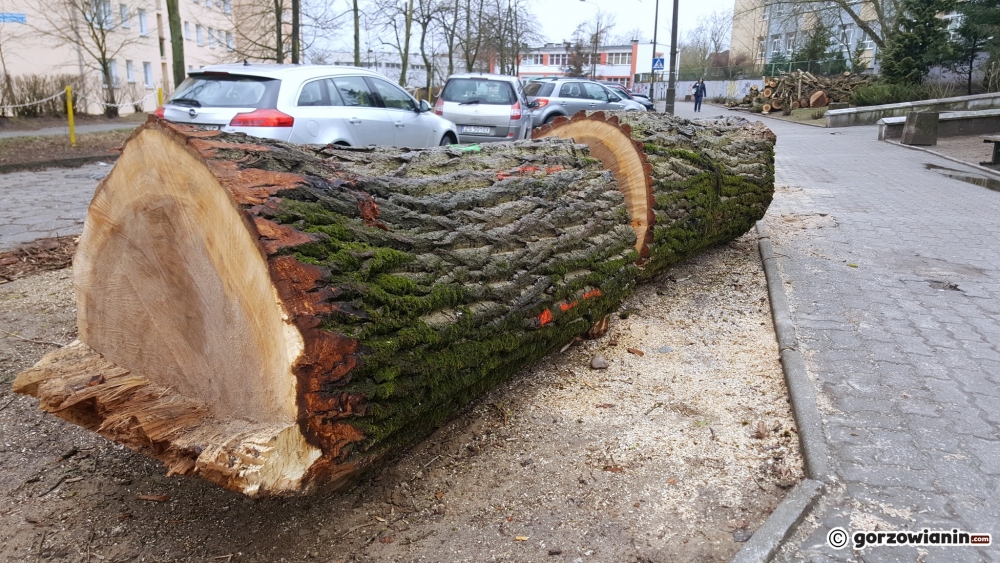 Rusza przebudowa ul. Gwiaździstej