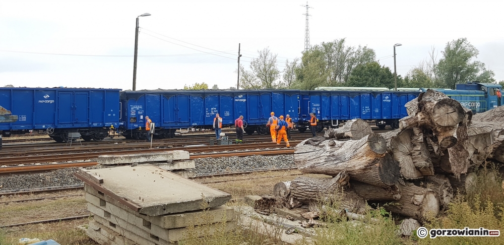 Wykoleił się wagon ze złomem [zdjęcia]