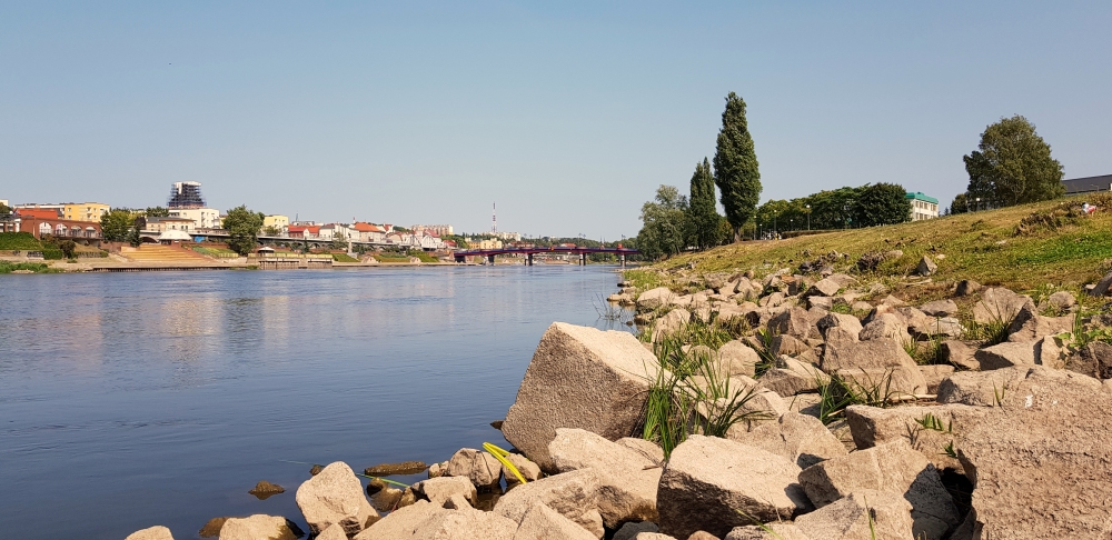 Wyborcze kalendarium Gorzowa