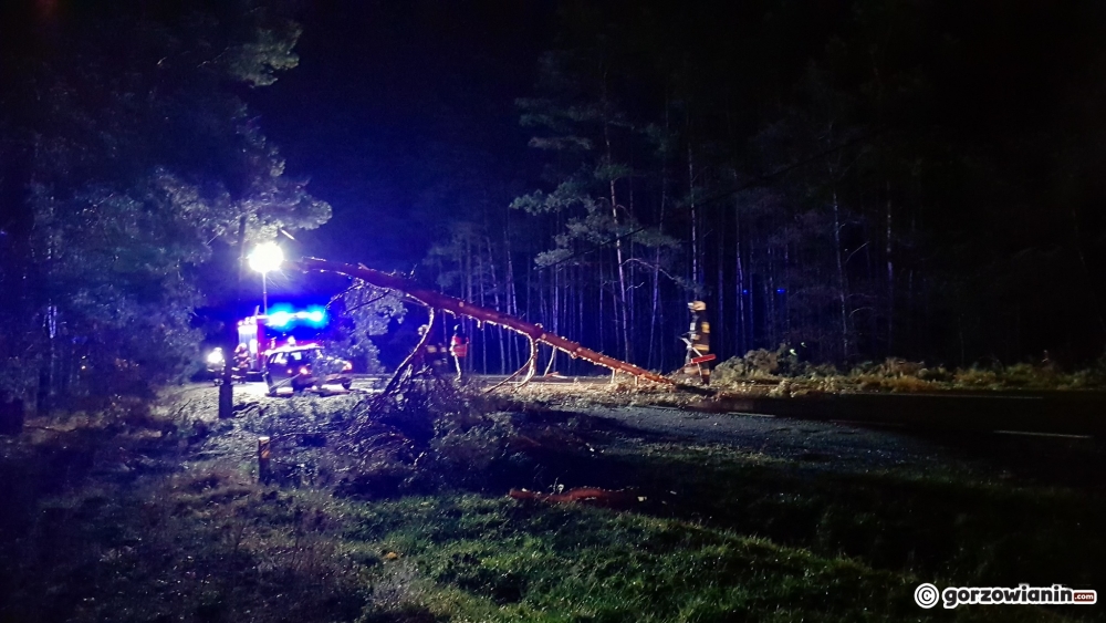 Zablokowana krajowa 22 pod Gorzowem [zdjęcia]