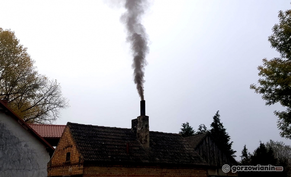 Śmieci wciąż trafiaj do pieców