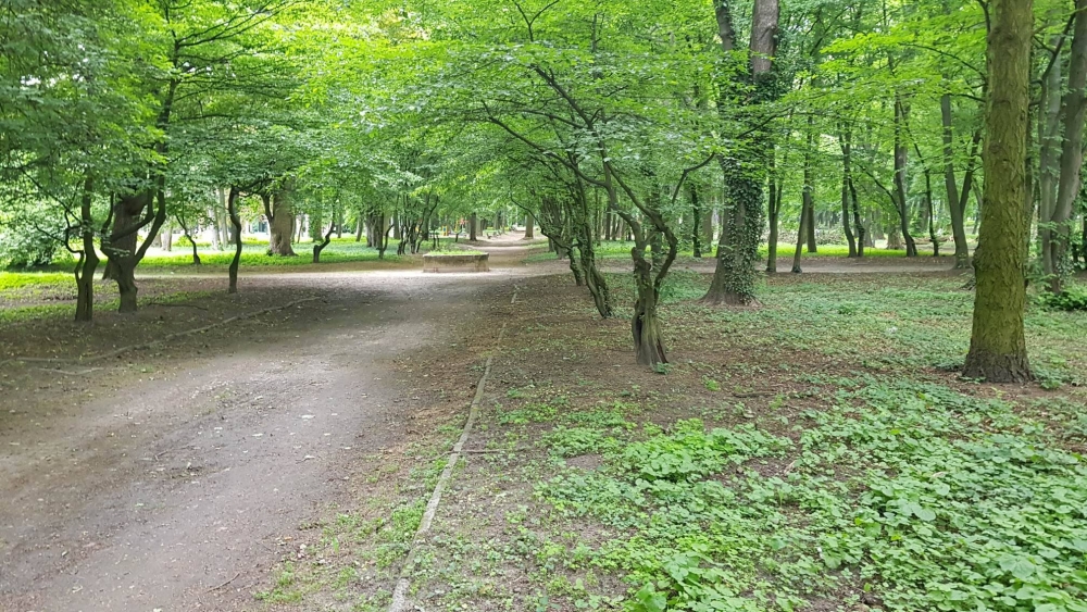 Pobił bezdomnego w parku