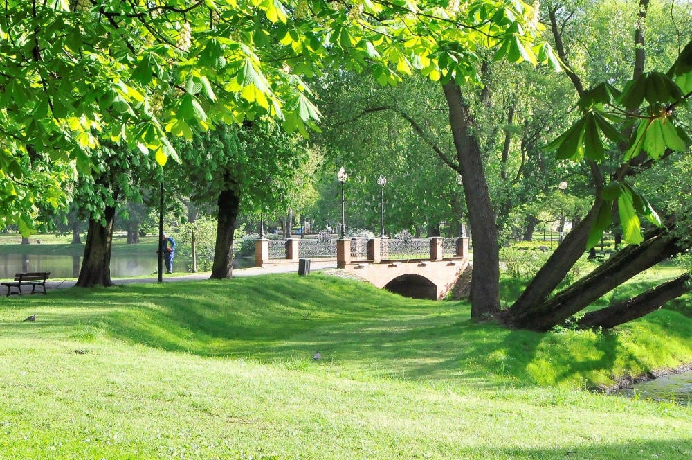 Park Róż nam wypięknieje!