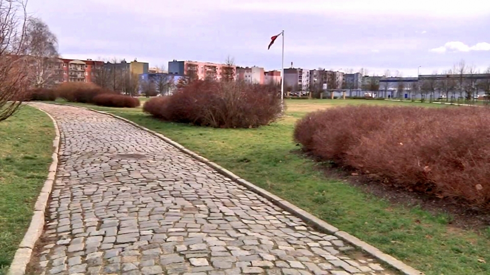 Łąki kwietnie już wiosną w Gorzowie