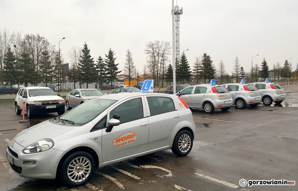 Dezynfekcja „elki”, rękawiczki i maseczki. Zdawanie prawa jazdy w nowej rzeczywistości