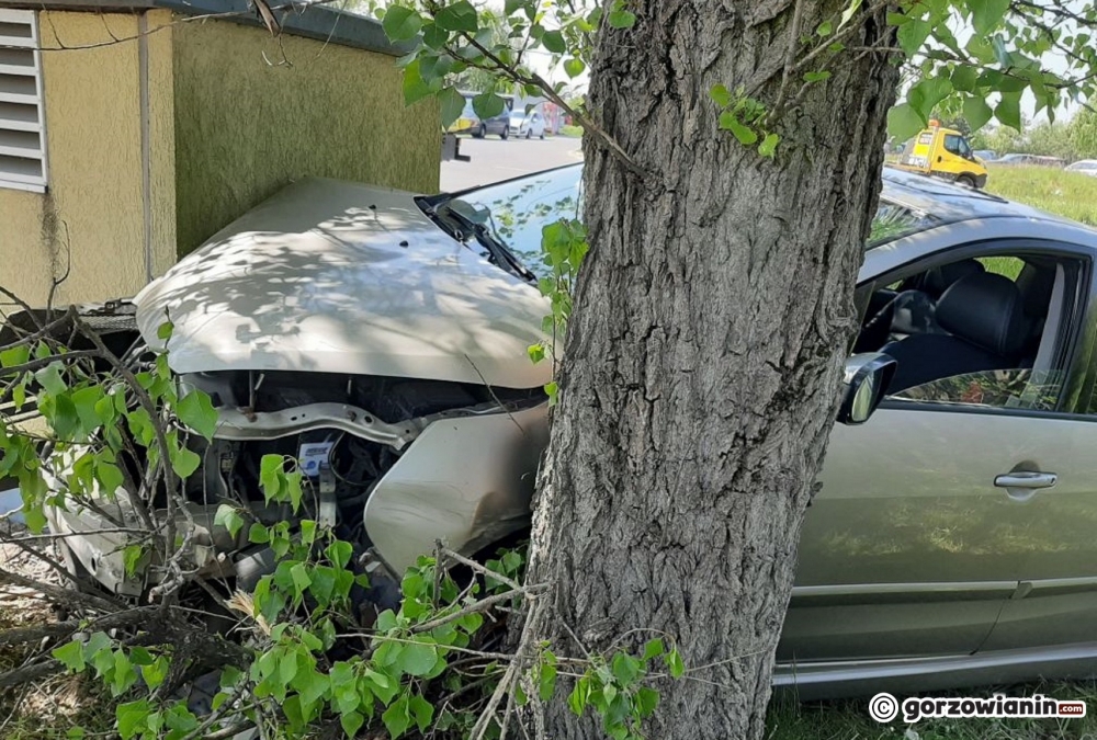 Kierujący mitsubishi uderzył w drzewo i murek [zdjęcia]