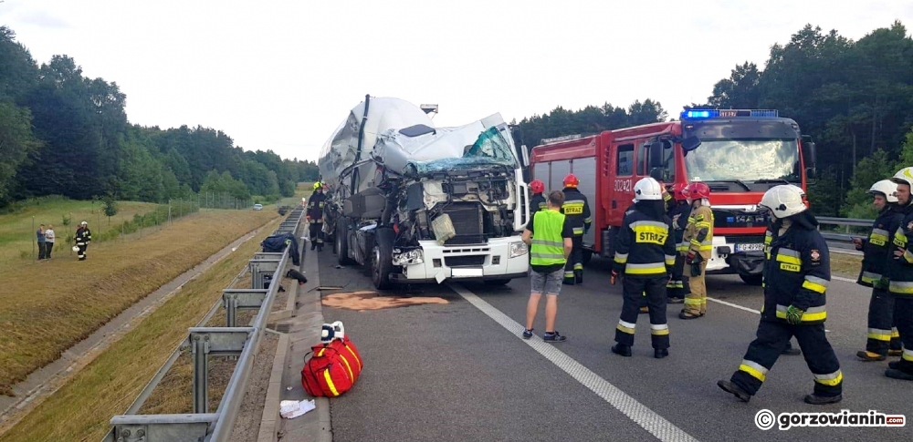 Zderzenie dwóch ciężarówek na S3 koło Gorzowa [zdjęcia]