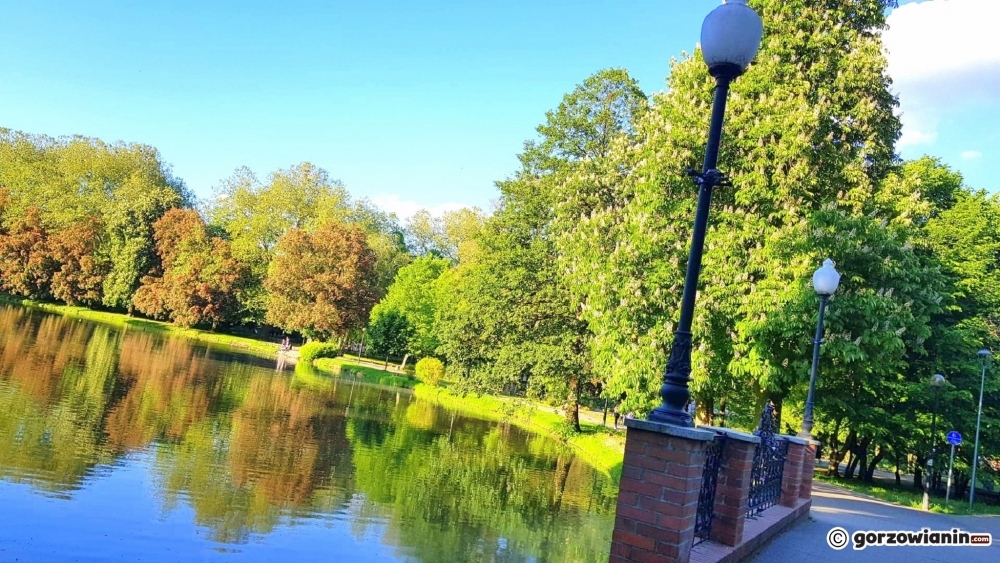 Miasto dołożyło brakujący 1 mln zł do prac w parku Róż