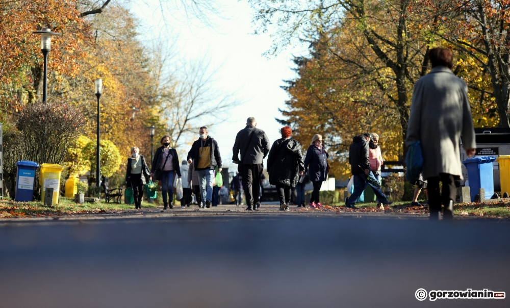 Cmentarz w Gorzowie: tłumów nie ma, ale ruch spory