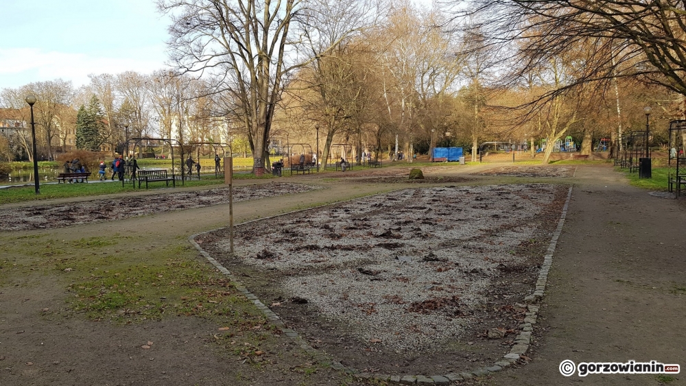 Co stało się z różami z parku Wiosny Ludów?