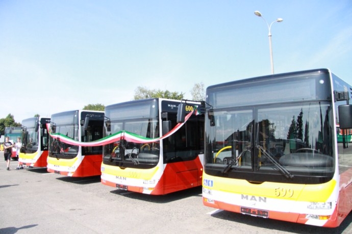 Lwy przybyły do miasta