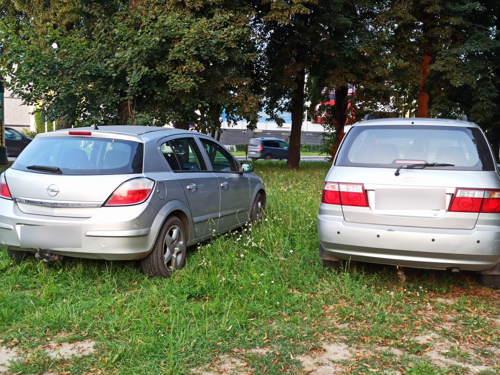 Park to nie parking. Jednak kierowcy samochodów rozjeżdżają zieleń