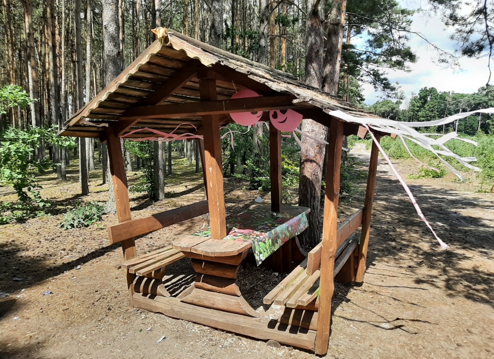 Urządzili imprezę urodzinową w lesie. Nadleśnictwo apeluje o posprzątanie śmieci