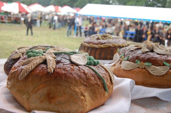 Wojewoda na dożynkach