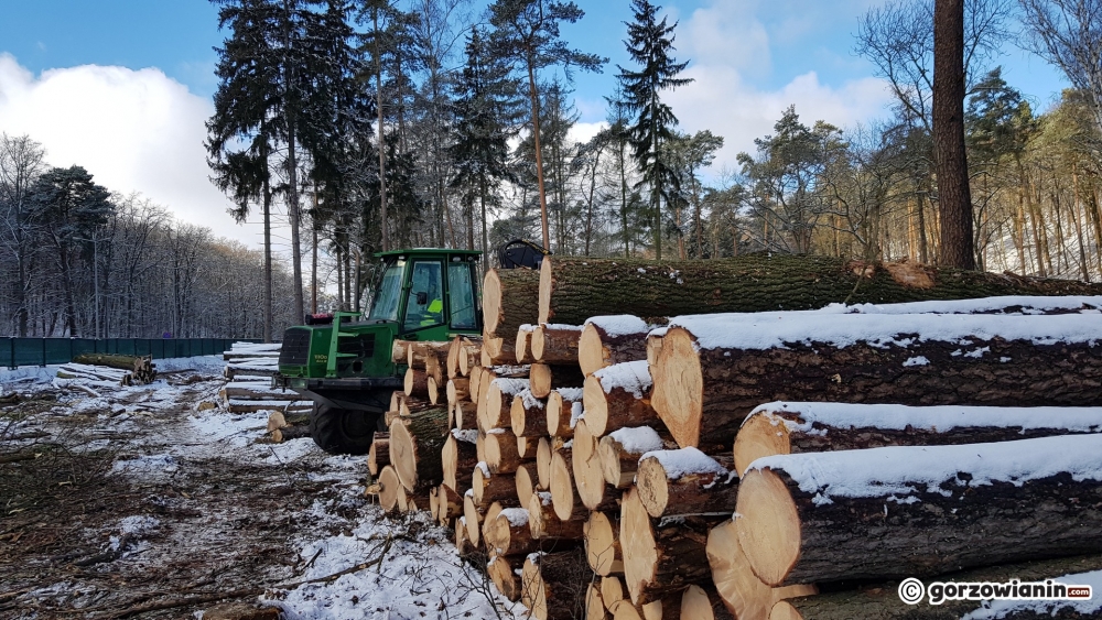 Miasto uruchomiło zielony numer alarmowy