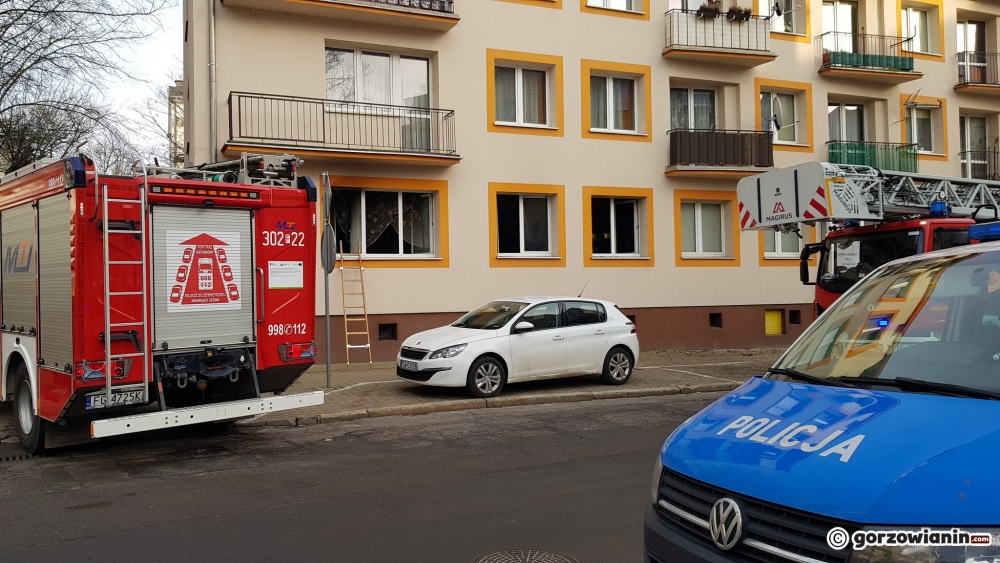 Pożar w centrum Gorzowa. Z okna mieszkania wyskoczyła 12-latka [zdjęcia]