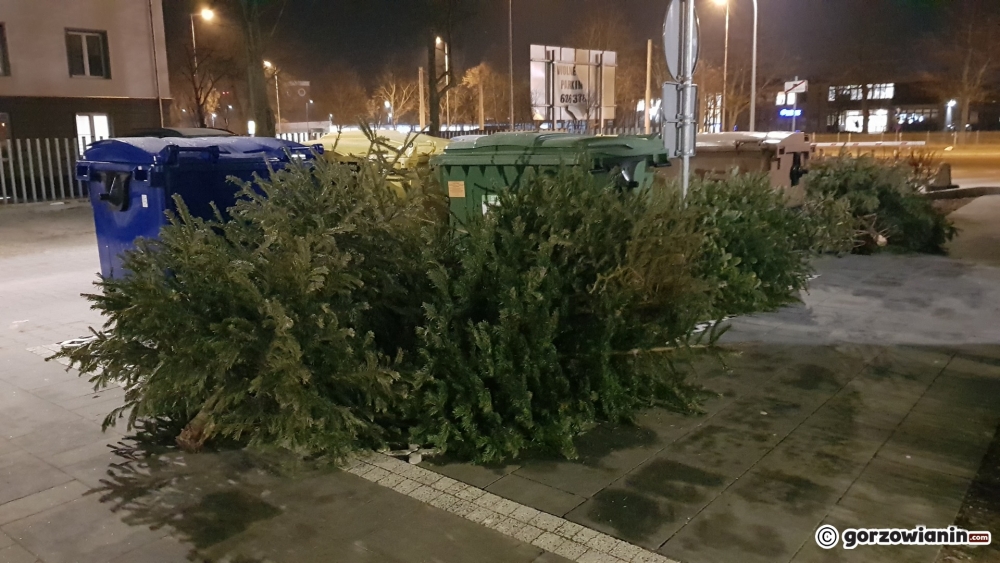Wysyp choinek pod śmietnikami. Rusza odbiór drzewek 