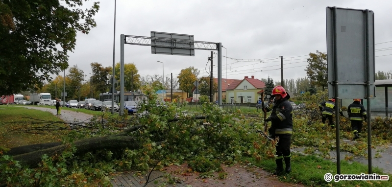 Alert RCB. Mieszkańcy dostają ostrzeżenia o silnym wietrze