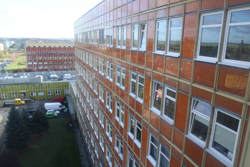 Głodówka na Dekerta