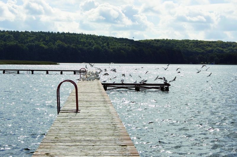 Przegrana z Wikingami