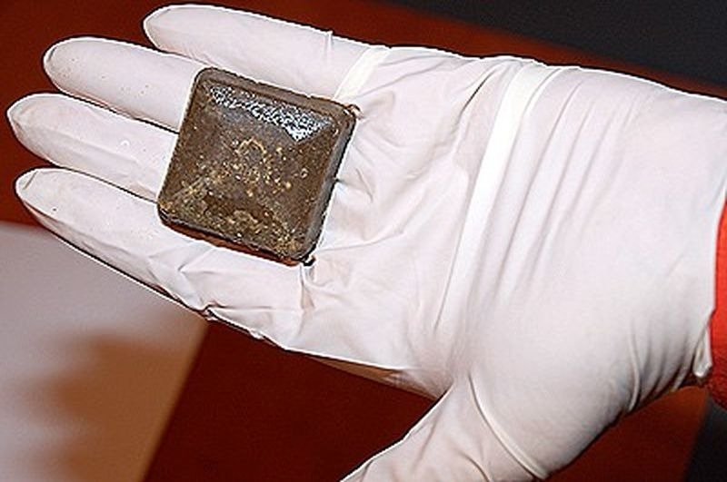 Działania przeciwko wściekliźnie lisów