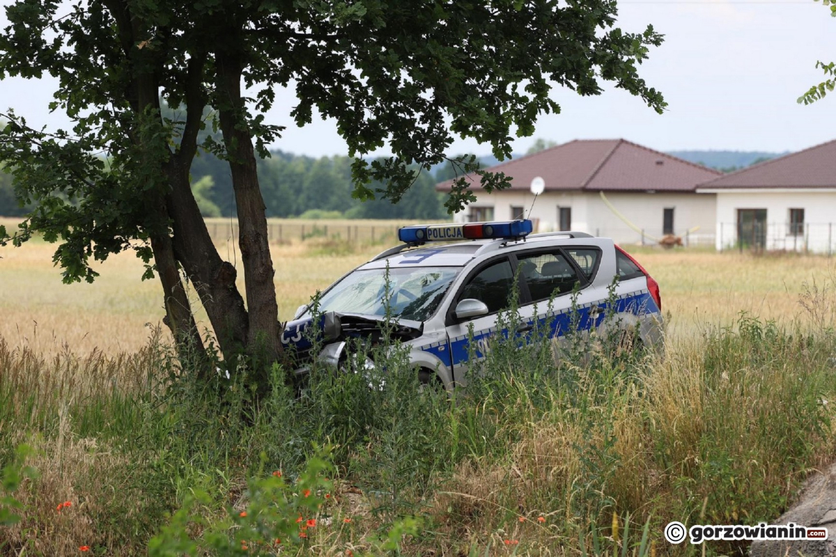 Radiowóz rozbił się o drzewo koło Gorzowa [zdjęcia]