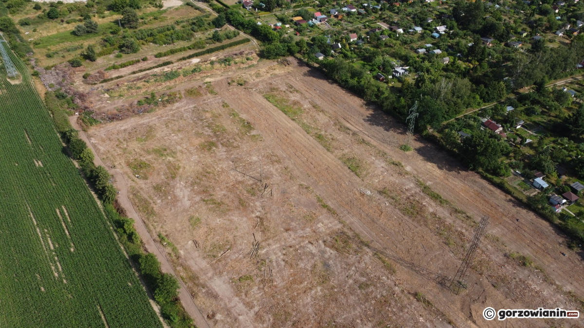 Działkowicze są oburzeni. Nie chcą obory z bydłem tuż za płotem